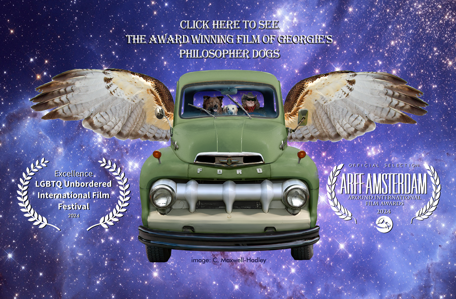 Georgie's Philosphers Dogs Film